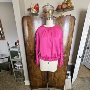 Ann Taylor Vibrant Pink Blouse